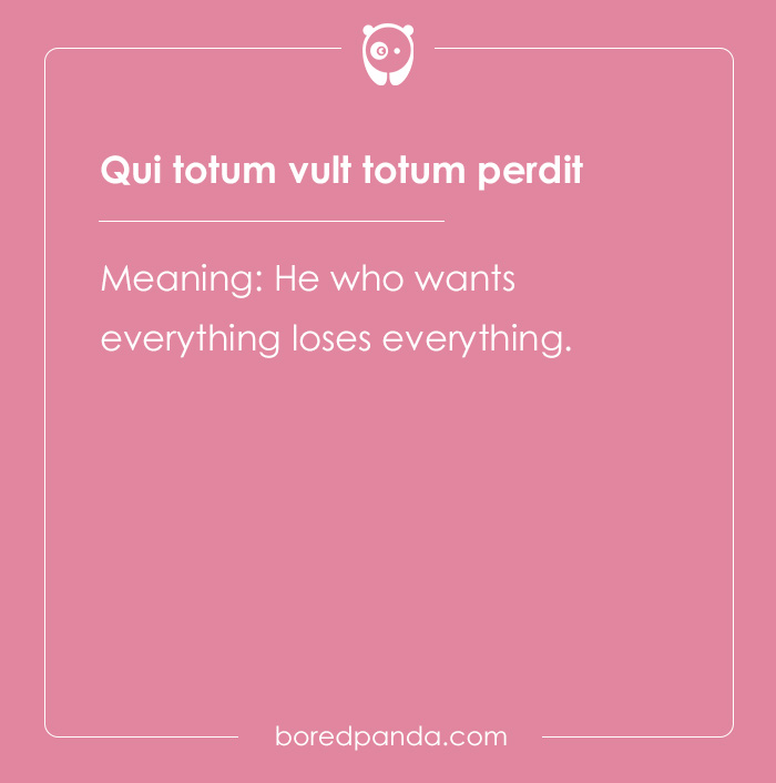 99 Cool Latin Words and Phrases to Add to Your Lingua