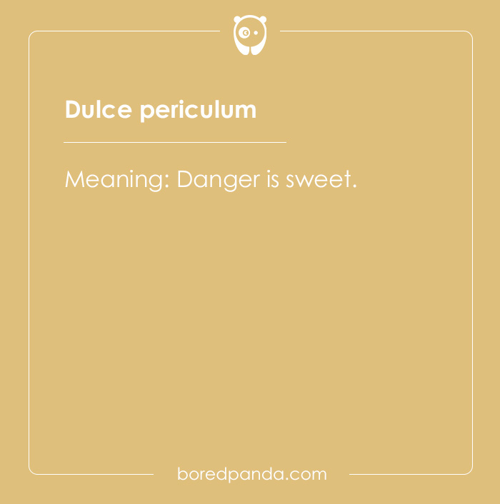 99 Cool Latin Words and Phrases to Add to Your Lingua