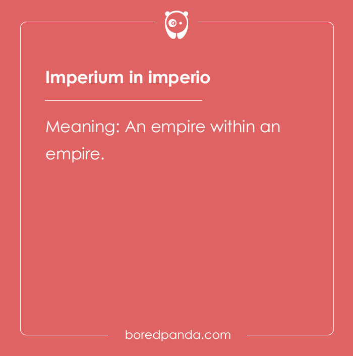 99 Cool Latin Words and Phrases to Add to Your Lingua