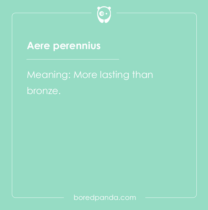 99 Cool Latin Words and Phrases to Add to Your Lingua