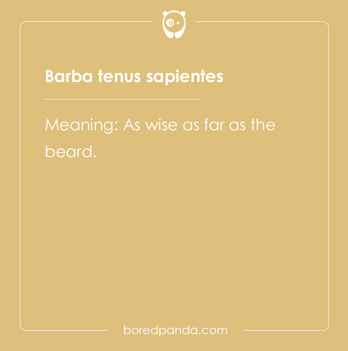 99 Cool Latin Words and Phrases to Add to Your Lingua