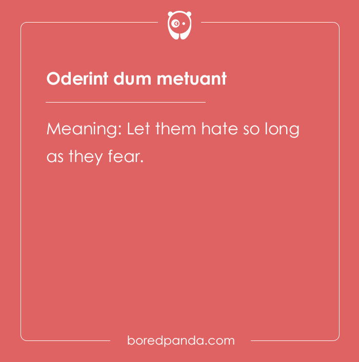 99 Cool Latin Words and Phrases to Add to Your Lingua