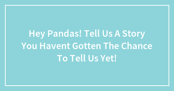 Hey Pandas, Tell Us A Story You Haven’t Gotten The Chance To Tell Us Yet