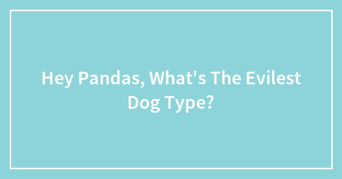 Hey Pandas, What’s The Evilest Dog Type?