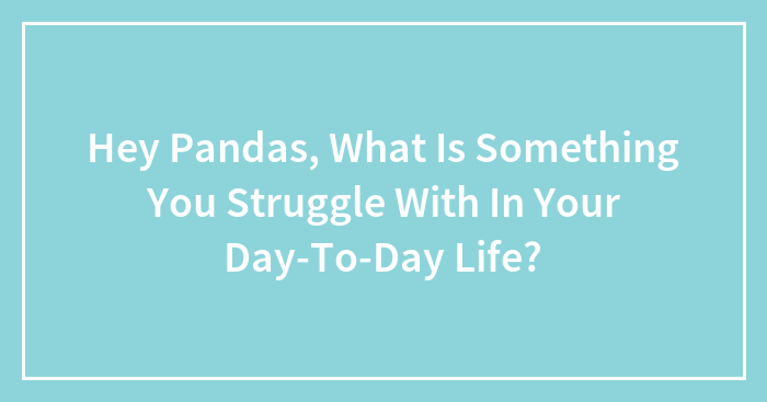 Hey Pandas, What Is Something You Struggle With In Your Day-To-Day Life? (Closed)