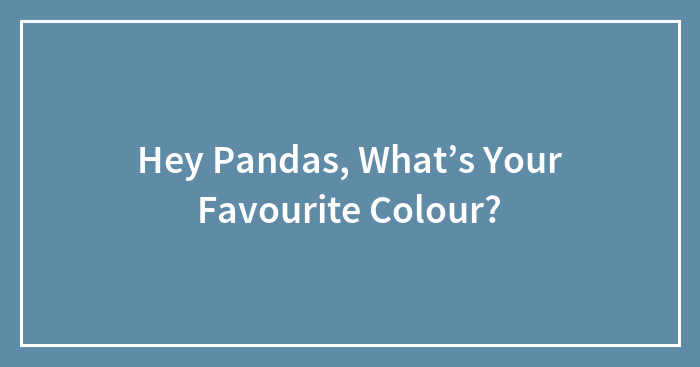 Hey Pandas, What’s Your Favourite Colour?