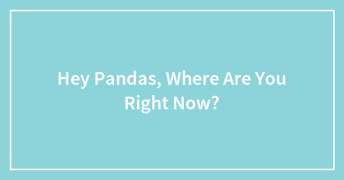Hey Pandas, Where Are You Right Now?