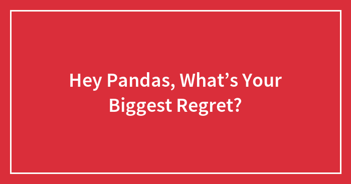 Hey Pandas, What’s Your Biggest Regret?