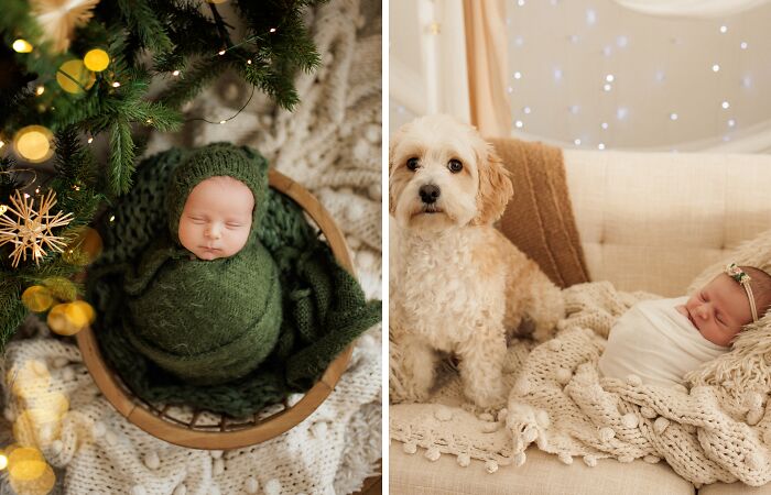 I Have Photographed A Lot Of Adorable Babies This Winter (10 Pics)