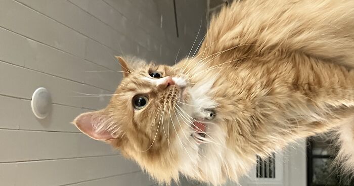 Hey Pandas, Show Us A Pic Of Something That Makes You Happy (Closed)