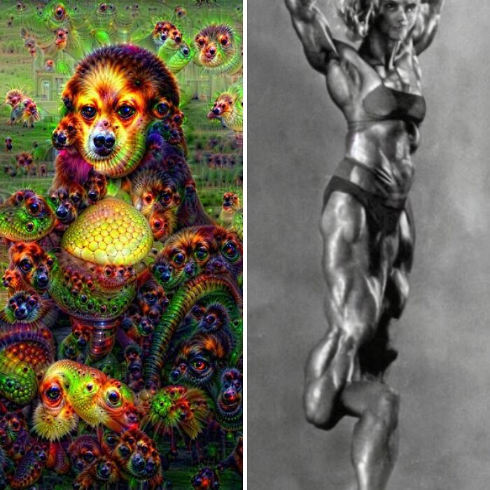 Hey Pandas, Share The Weirdest AI Pics You’ve Found (Closed)