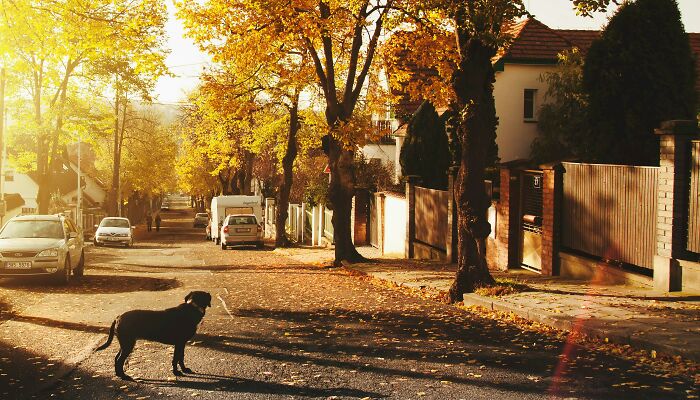 Couple Finds Squatter In Their $2M Dream Home, Bought To Care For Son With Down Syndrome