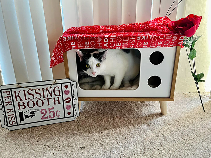 Happy Valentine’s Day From Christopher