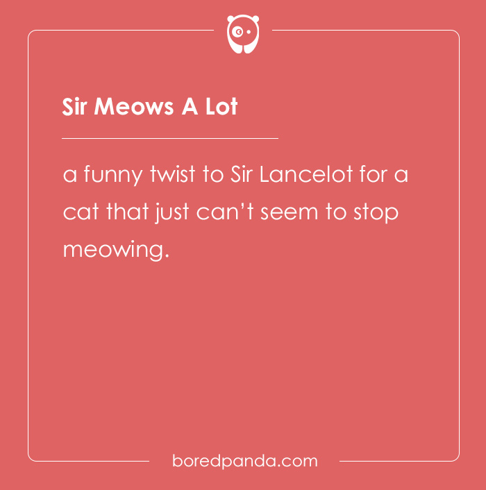 135 Unique and Cute Pet Names To Melt Your Heart