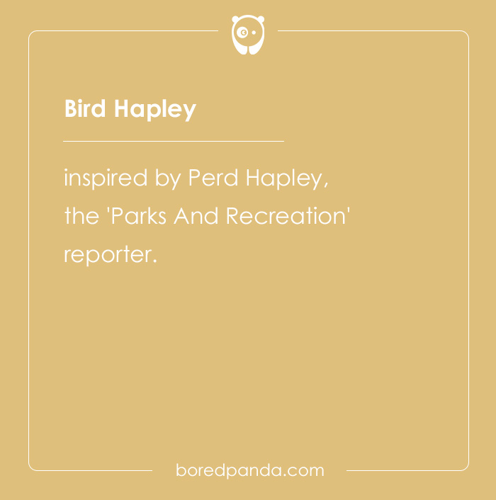 135 Unique and Cute Pet Names To Melt Your Heart