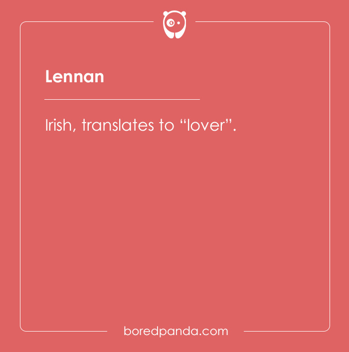 135 Unique and Cute Pet Names To Melt Your Heart