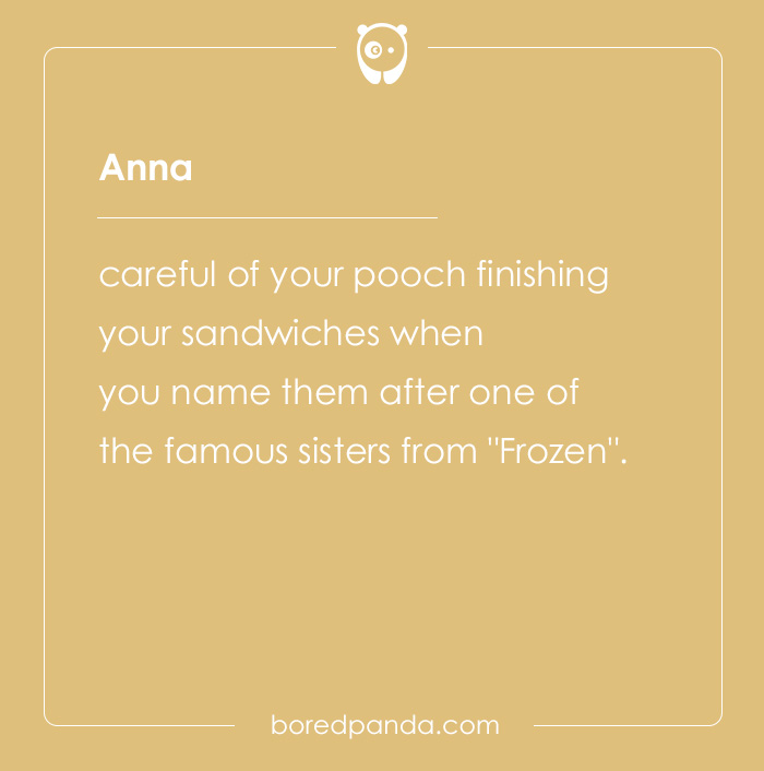 135 Unique and Cute Pet Names To Melt Your Heart