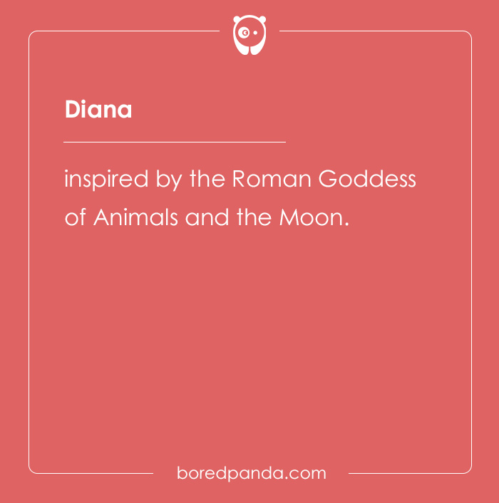 135 Unique and Cute Pet Names To Melt Your Heart