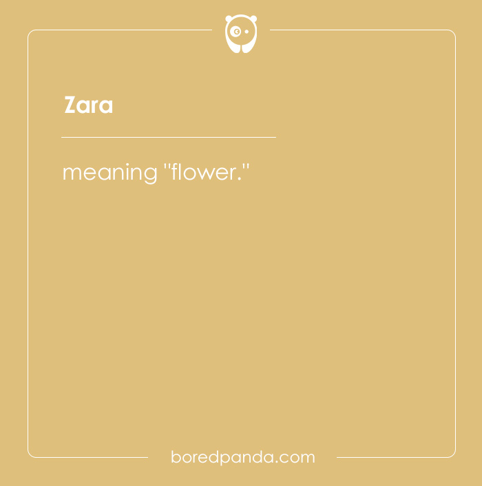 135 Unique and Cute Pet Names To Melt Your Heart