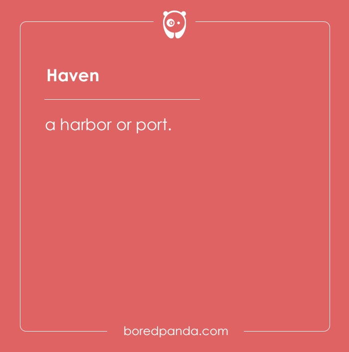 135 Unique and Cute Pet Names To Melt Your Heart