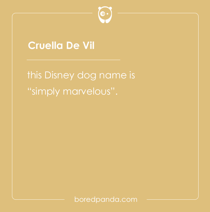 135 Unique and Cute Pet Names To Melt Your Heart