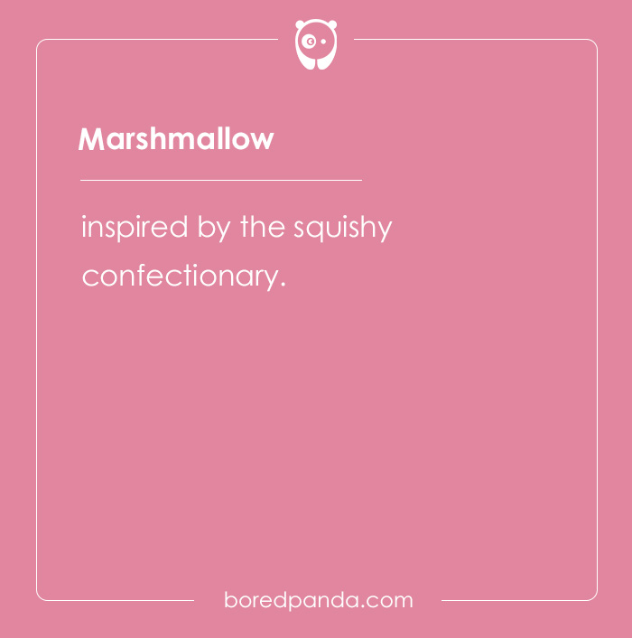 135 Unique and Cute Pet Names To Melt Your Heart