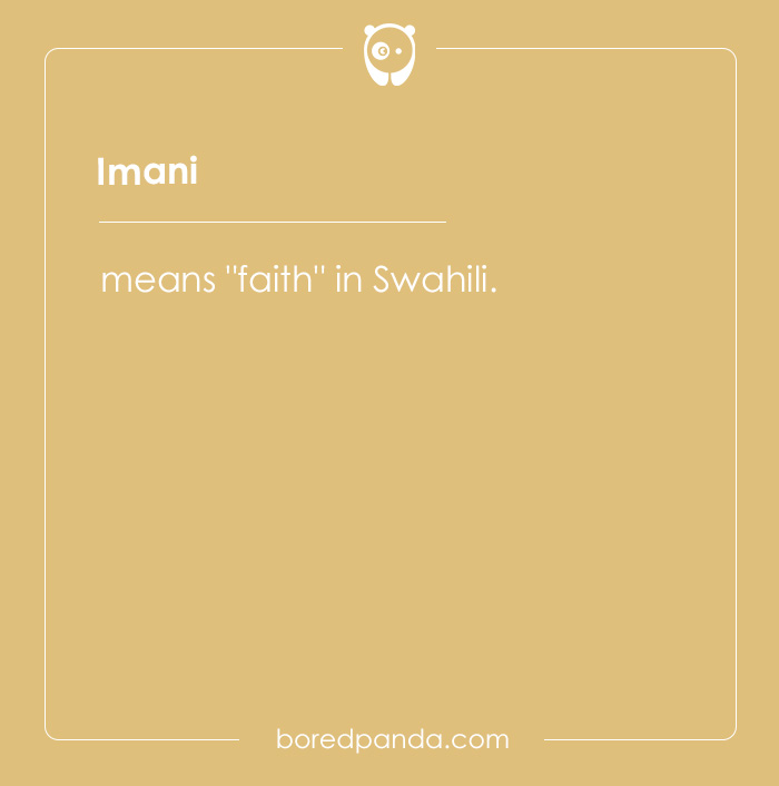 135 Unique and Cute Pet Names To Melt Your Heart