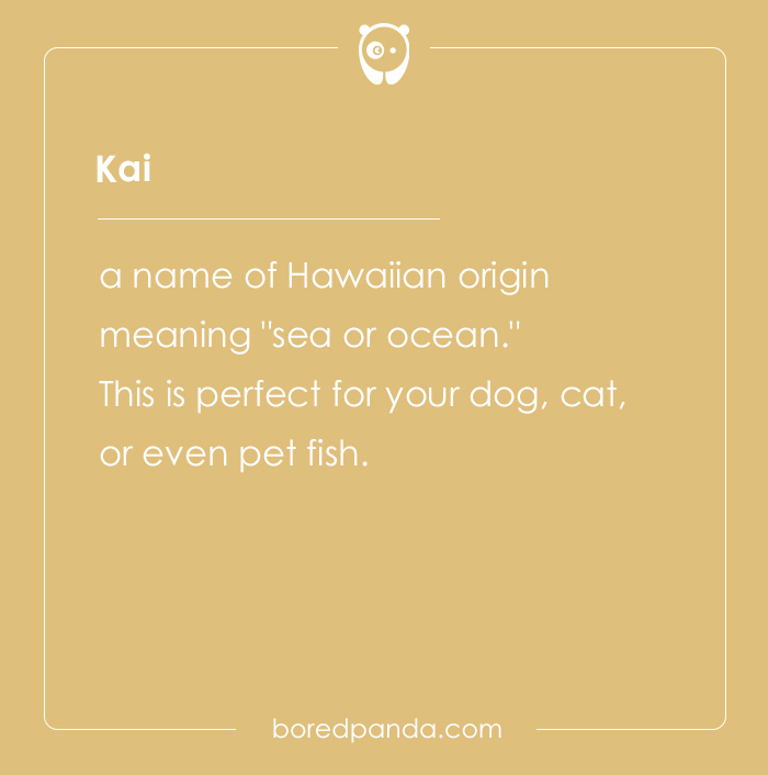 135 Unique and Cute Pet Names To Melt Your Heart