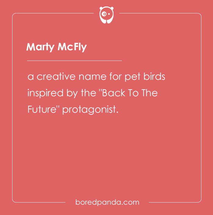 135 Unique and Cute Pet Names To Melt Your Heart