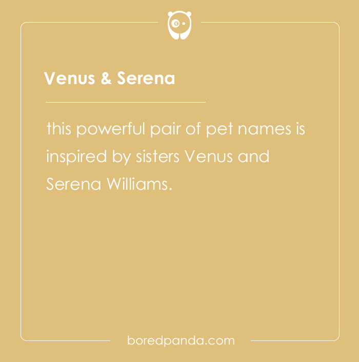 135 Unique and Cute Pet Names To Melt Your Heart