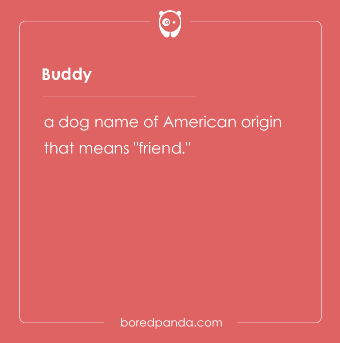 135 Unique and Cute Pet Names To Melt Your Heart