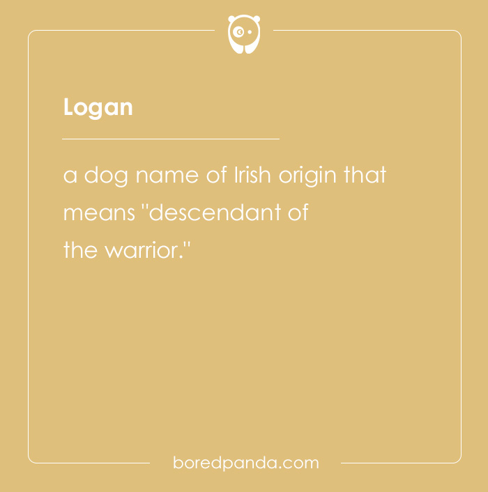 135 Unique and Cute Pet Names To Melt Your Heart