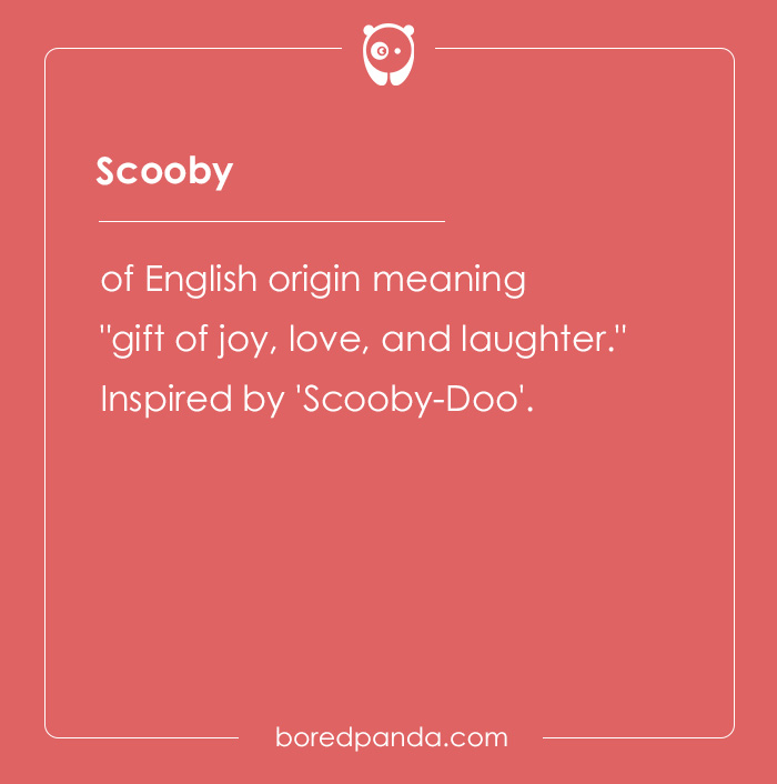 135 Unique and Cute Pet Names To Melt Your Heart