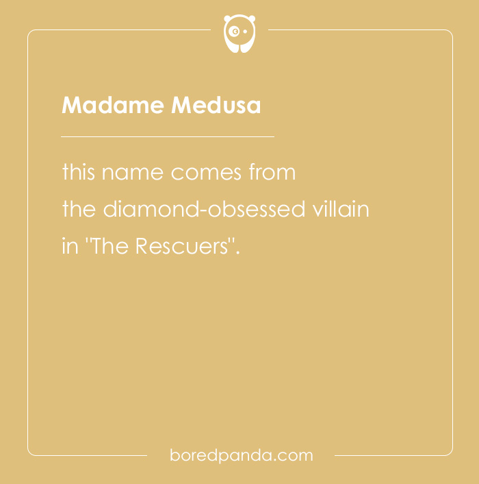 135 Unique and Cute Pet Names To Melt Your Heart