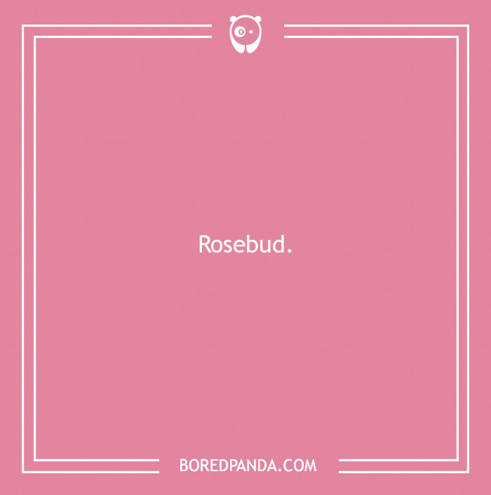 140 Cute Names To Call Your Girlfriend To Give Her Heart Eyes