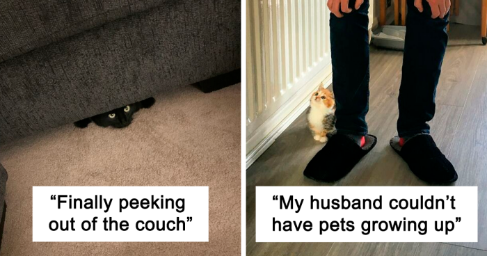 Heartwarming Pics And Stories Of Happily Adopted Pets
