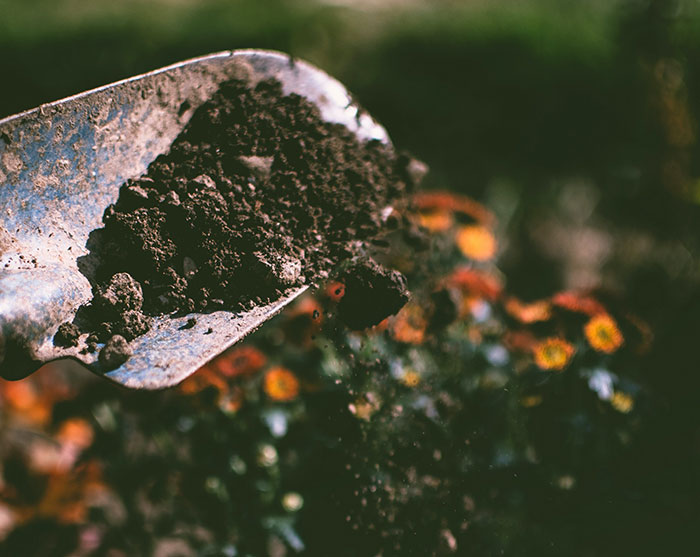 36 Disturbing Secrets People Hid Their Whole Lives