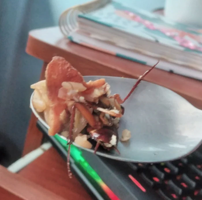 Estaba comiendo arroz frito y mordí una maldita cucaracha