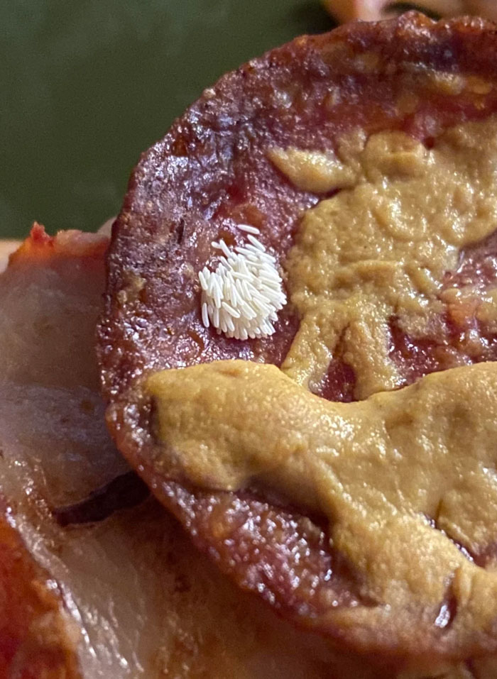 Me alejé dos minutos y una mosca puso huevos en mi pizza