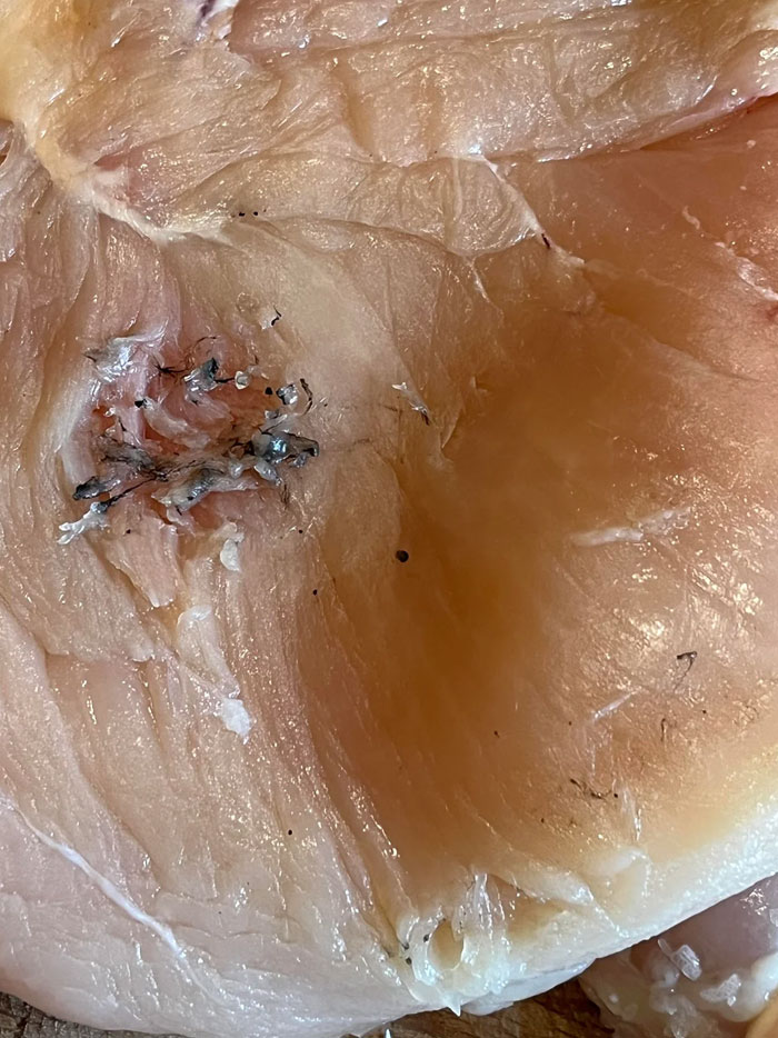 What The Hell Was In This Chicken Breast