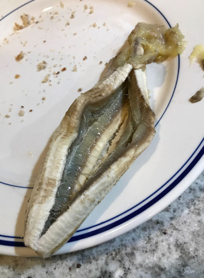 My Sister Microwaves Bananas