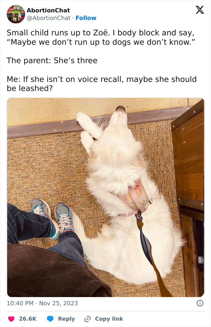 Person Tweets About A Random Kid Running To Her Dog, Gets Over 24M Views And Sparks Debate Person Tweets About A Random Kid Running To Her Dog, Gets Over 24M Views And Sparks Debate