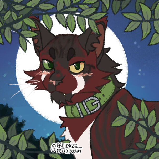 I Make Warrior Cat Ocs And I Don't Know What To Name These