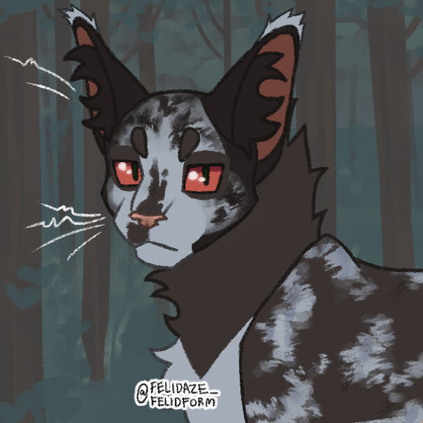 I Make Warrior Cat Ocs And I Don't Know What To Name These