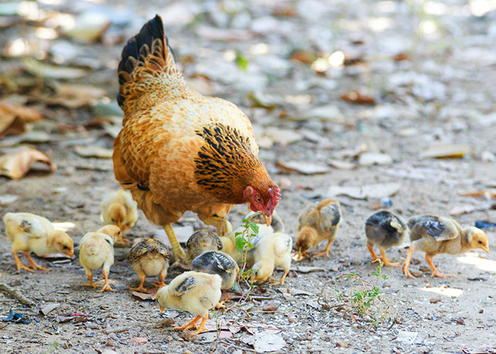 30 People Reveal The “Dumbest” Parts Of Their Cultures