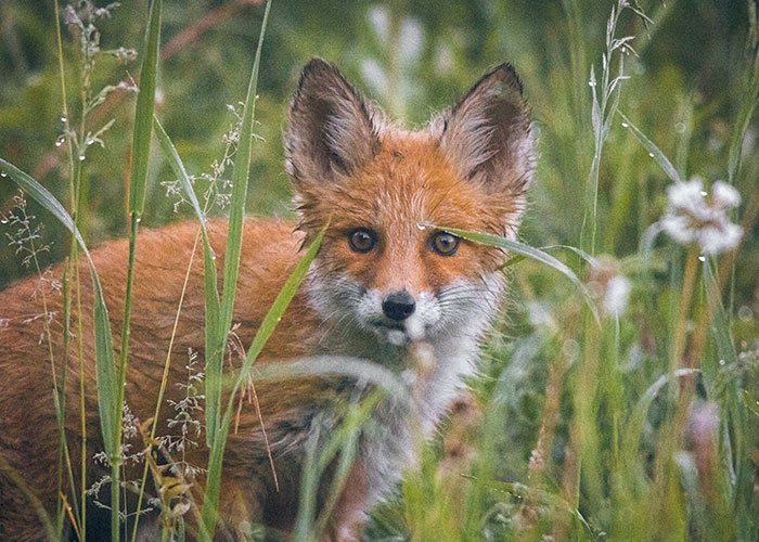 30 People Reveal The “Dumbest” Parts Of Their Cultures