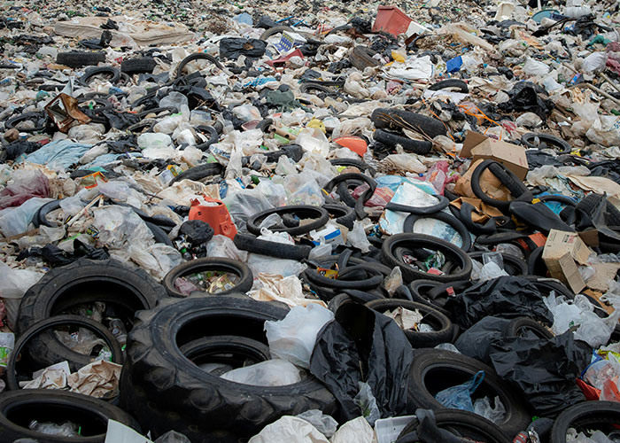 30 Facts People Learned In School That Are Now Disproven Because Science Moved Forward