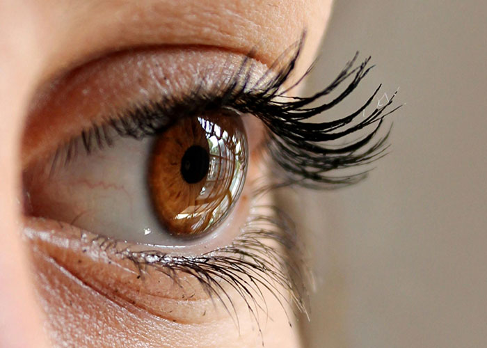 30 Facts People Learned In School That Are Now Disproven Because Science Moved Forward