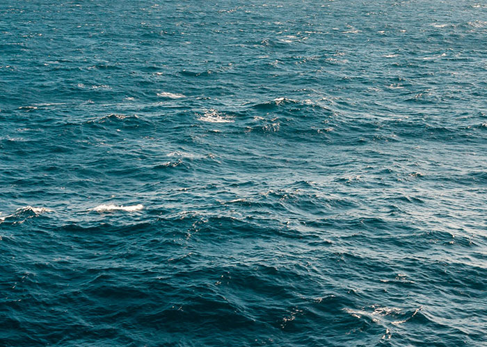 30 Facts People Learned In School That Are Now Disproven Because Science Moved Forward