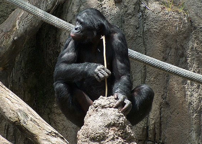 30 Facts People Learned In School That Are Now Disproven Because Science Moved Forward